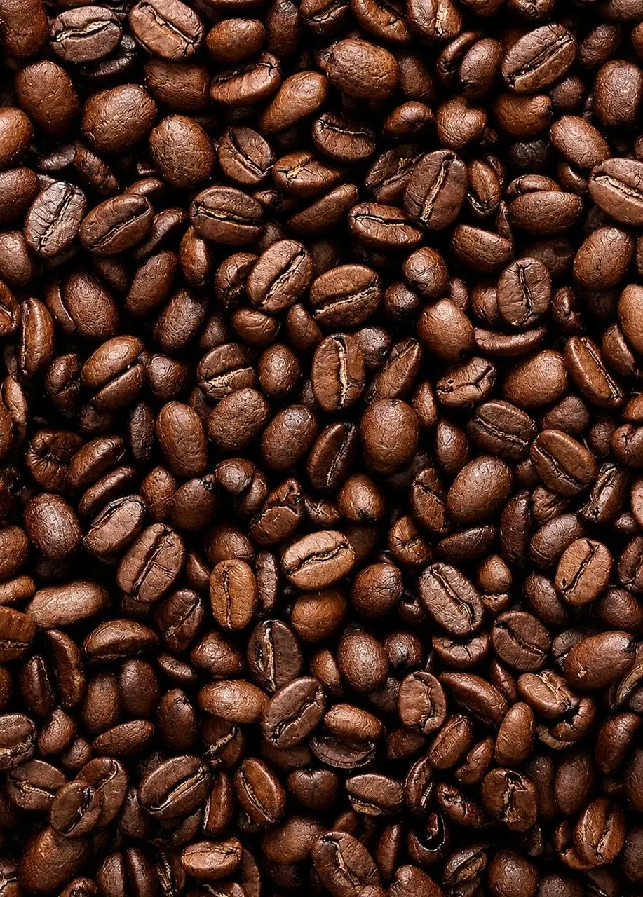 Grãos de café torrados