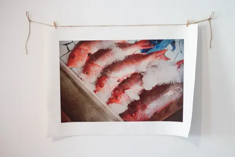 canvas vermelho