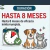 Seresto Collar Antiparasitario para Gatos y Perros hasta 8 kg - comprar online