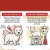 Power Ultra para Perros de 5 a 10 kg - comprar online