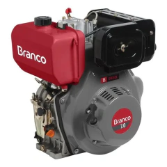 Motor A Diesel 7,0cv 296cc Com Partida Elétrica -branco