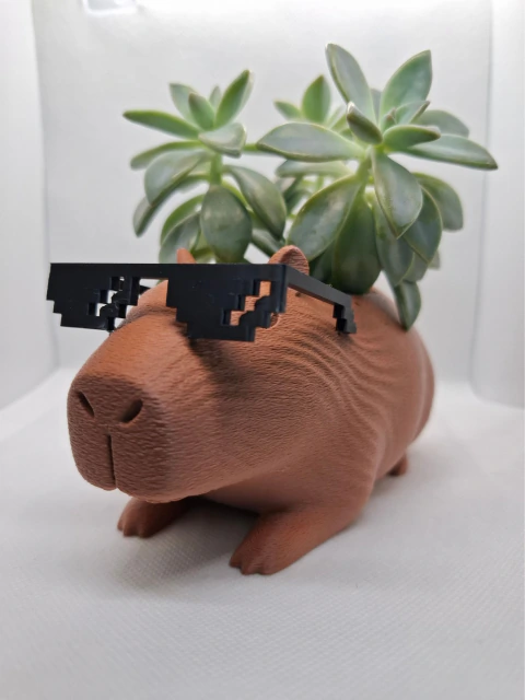 Vaso Capivara