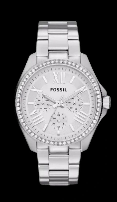 FOSSIL AM4481