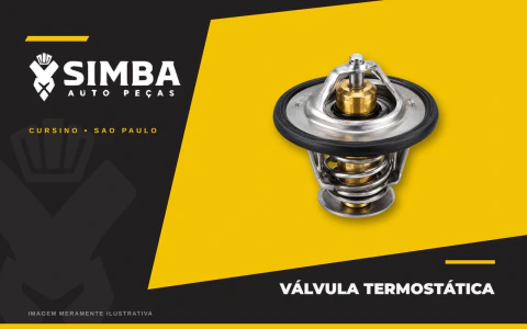 Válvula Termostática BMW 118i, 120i, 318i, 320i, X1 e Z4 2.0 (N46)