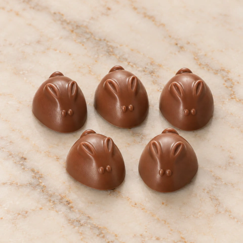 Molde BWB 10529 Huevo Bombon Conejito