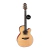 Violão Takamine Santa Fé LTD2023 com Pré CTF2N e Capa