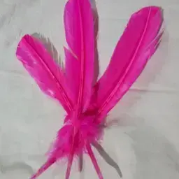 Pluma de pato (28cm) paq. x 10 unid