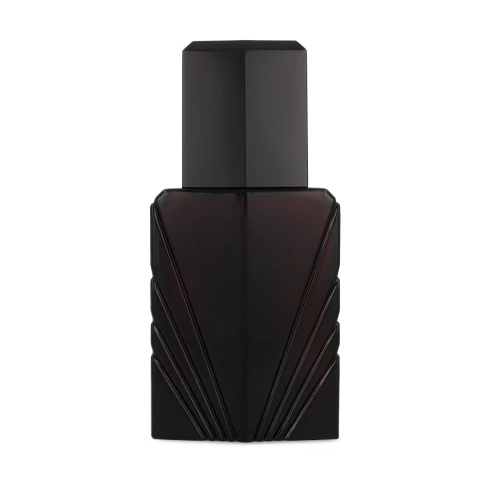 ELIZABETH TAYLOR PASSION MEN 120ML EDC