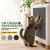 Rascador Adhesivo para Gatos para Sillones y Muebles – 20% OFF