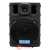 Caixa Ativa 100W 8 Polegadas CSR 770A - CSR - comprar online