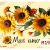 Lámina DTF Girasoles con Frase Más Amor M198 - comprar online