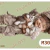 Lámina DTF Niño con Gatitos Abrazados M309 - comprar online