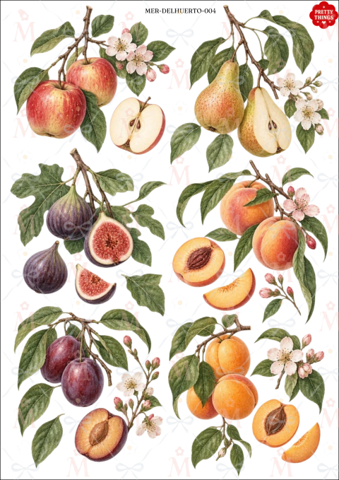 Frutos del jardin
