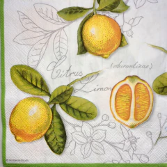 CITRUS LIMONUM - GUARDANAPOS PARA DECUPAGEM - 33X33CM (20 UNIDADES)