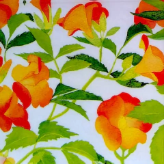 Guardanapo para decupagem com estampa de flores begônia em tons de laranja, amarelo e vermelho com folhas verdes