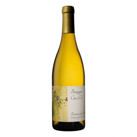 Vinho Branco Guy Bocard Bourgogne Côte D'or Magnum 1,5L