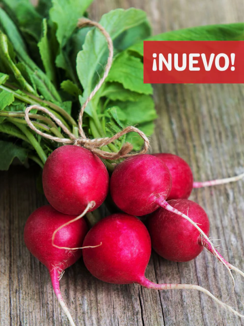 Rabanitos Agroecológicos (1 atado)