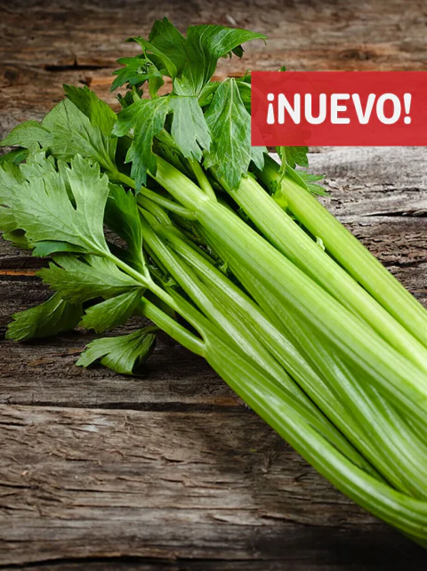 Apio Agroecológico (unidad)