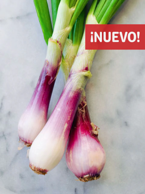 Cebolla de Verdeo Agroecológico (atado)
