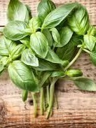 Albahaca Agroecológica (Atado)
