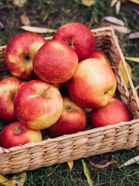 Manzana Orgánica 1kg