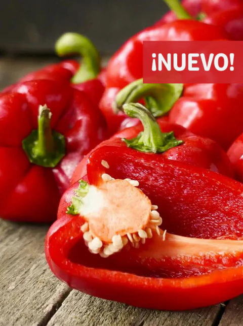 Morrón Rojo o Verde Agroecológico 500gr