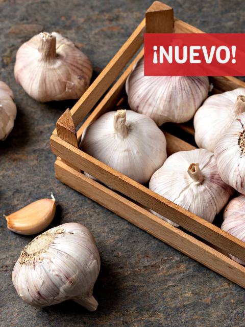 Ajo Orgánico (2 cabezas)
