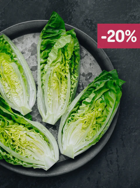 Lechuga de Invernáculo 300gr