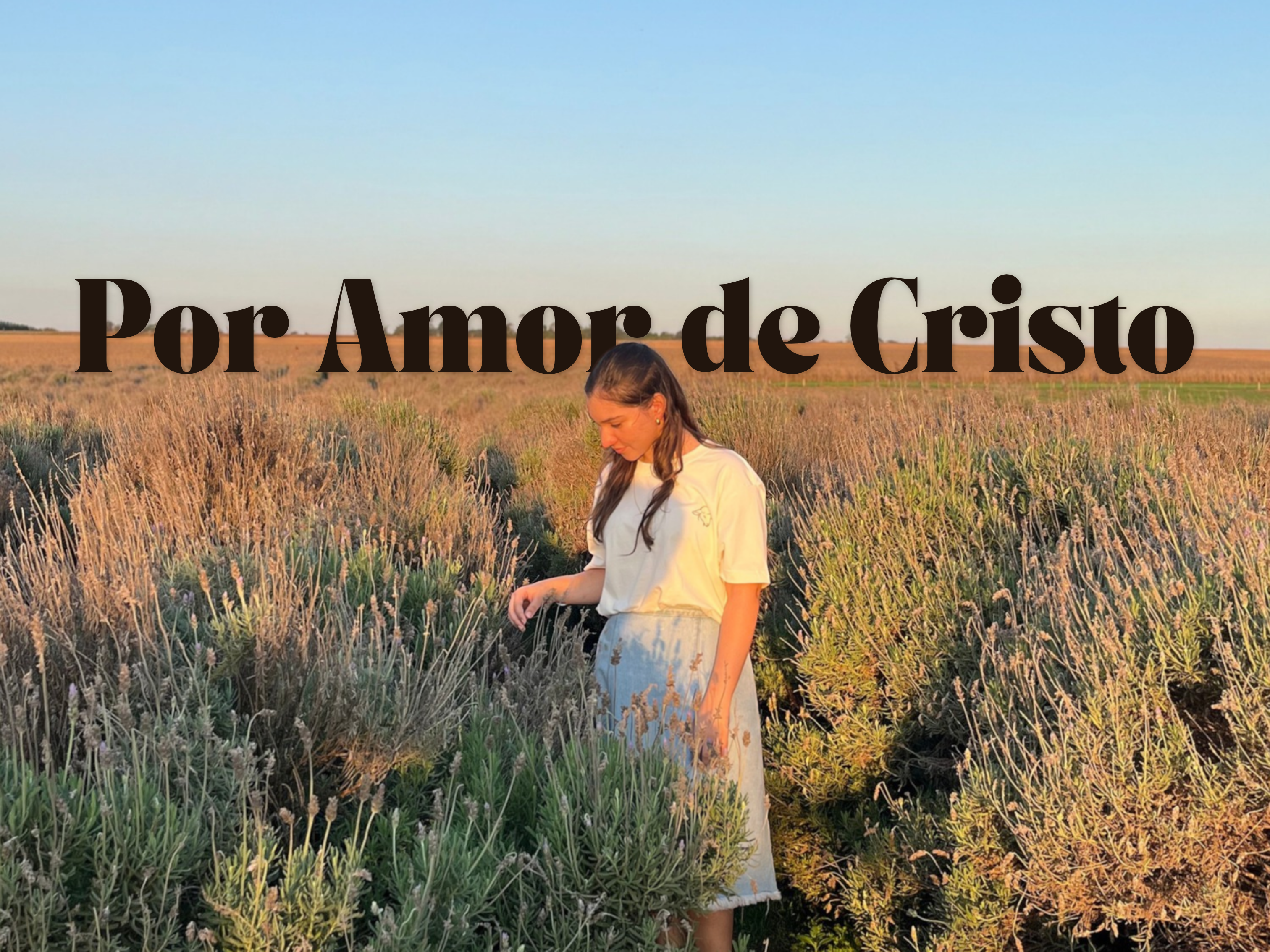 Carrossel