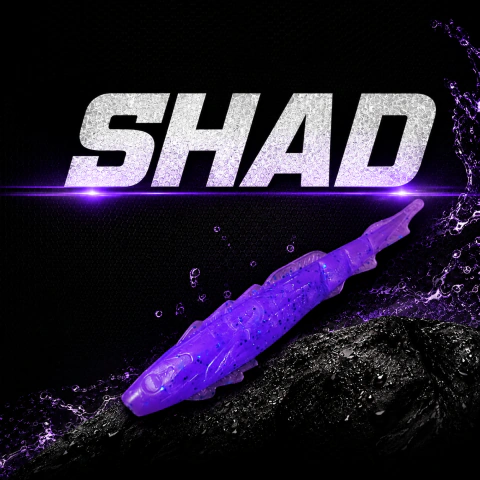 Shad P