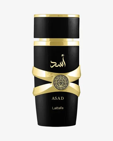 Asad EDP 100ml