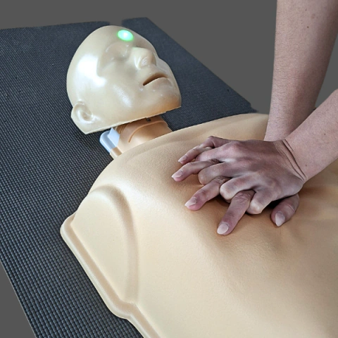 Torso con Luz y Sonido para Práctica de RCP, tamaño natural