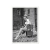 Posing - comprar online