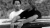 Celebrities en internet