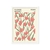 Rome - comprar online