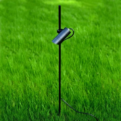 TOTORA SETH en internet