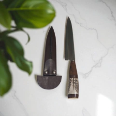 Cuchillo Inox. 20 cm. (V007) - comprar online