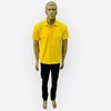 Imagem do CAMISA POLO TECIDO PIQUET REF.045