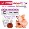 Imagen de Bravecto en comprimidos masticables para pulgas, garrapatas y sarna en perros