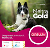 Meltra Gold comprimidos palatables 20 Kg y 60 Kg del Laboratorio Brouwer es una combinación para el control de nematodos intestinales, Tenias y Giardias en caninos