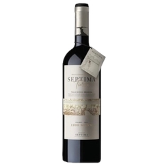 Séptima Tierra Los Chacayes 1200 MSNM Malbec x750 ml