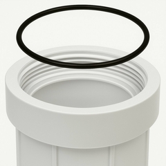 Anel De Vedação Para Carcaça 10" Altura 2,5mm