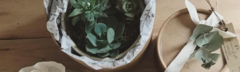 Banner de la categoría Regalo Vivo