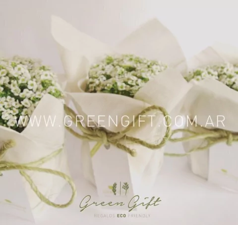 Plantín Floral en Lienzo – Elegancia Natural para Regalos Corporativos