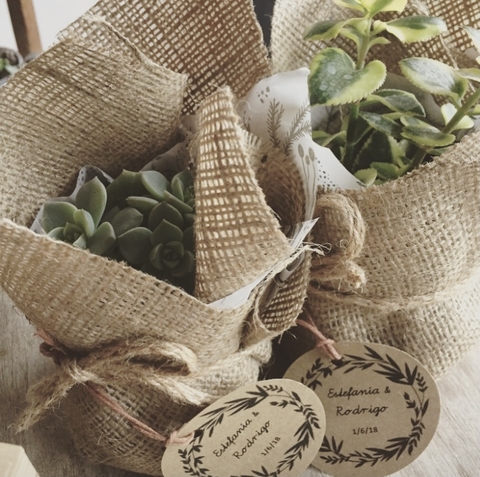 Suculenta en yute - Souvenir