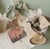 Kit de cultivo - Mini Bosque Nativo - comprar online