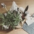 Cajoncito Aromático de Lavanda – Relajación Natural para tus Regalos - comprar online