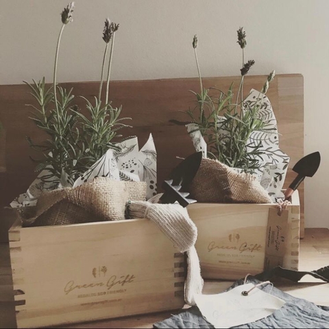 Cajoncito Aromático de Lavanda – Relajación Natural para tus Regalos