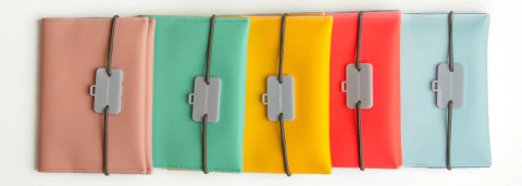 Portapasaporte en internet