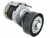 POLEA AUTOTENSOR VW FOX AMAROK - 31058NEWSTAR